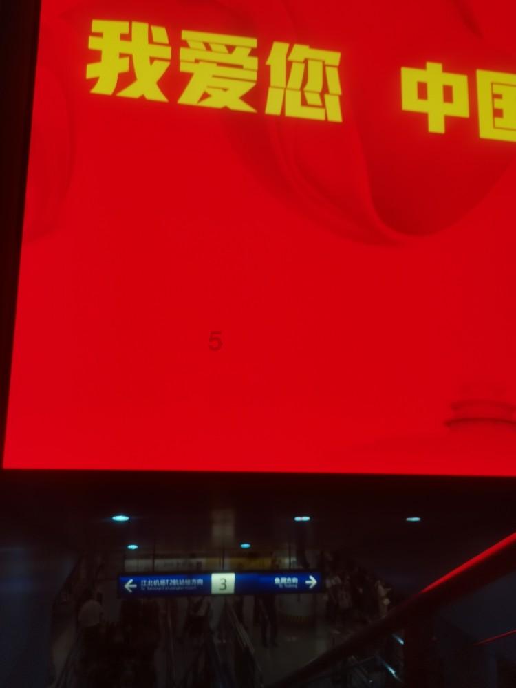 僵尸跳跳跳